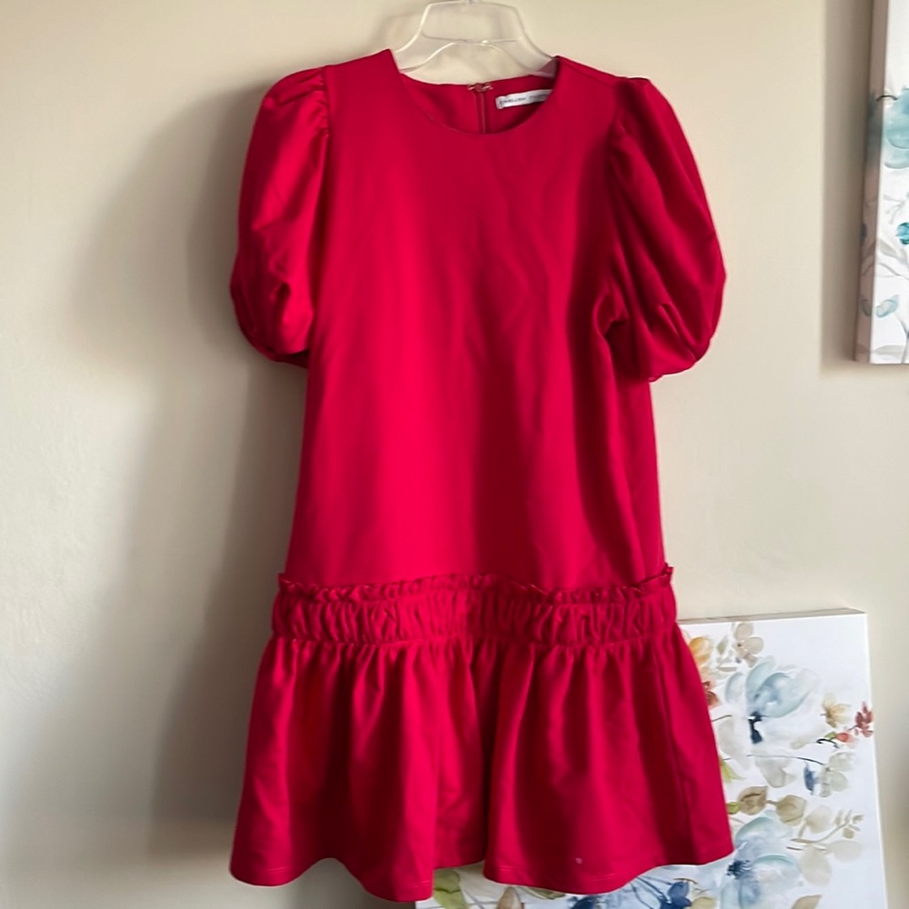 English factory mini dress